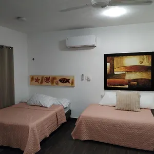 Apartment Estudio Zona Centro Cerca De La Terminal Ado, Cancun